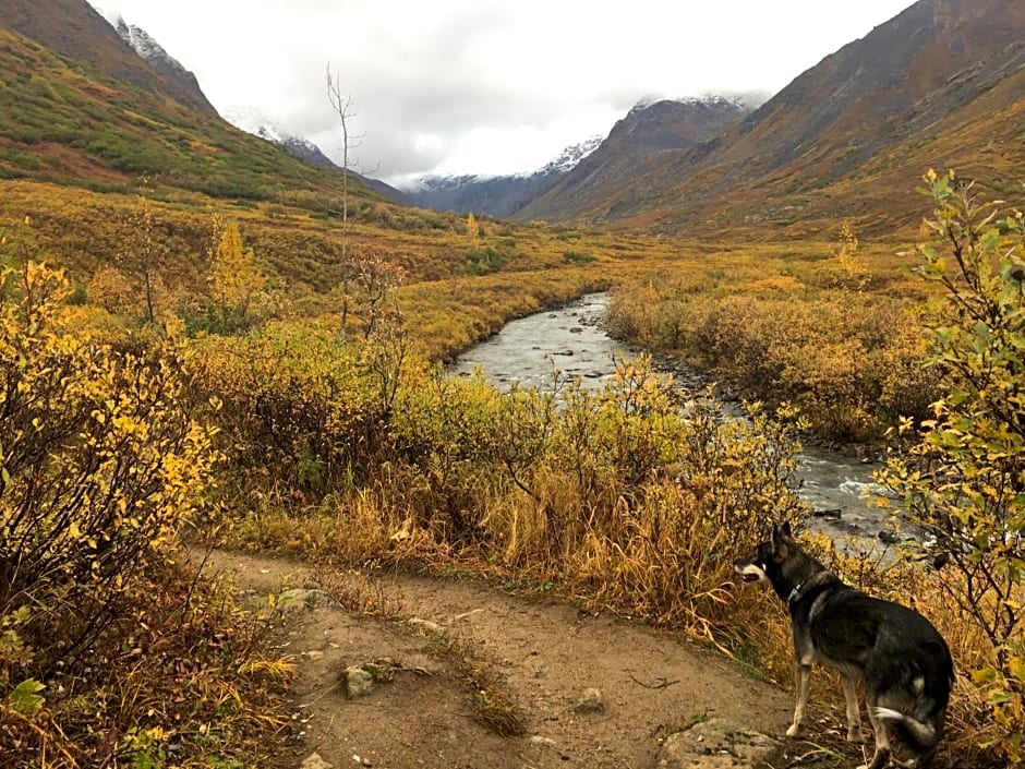 Hatcher Pass Cabins