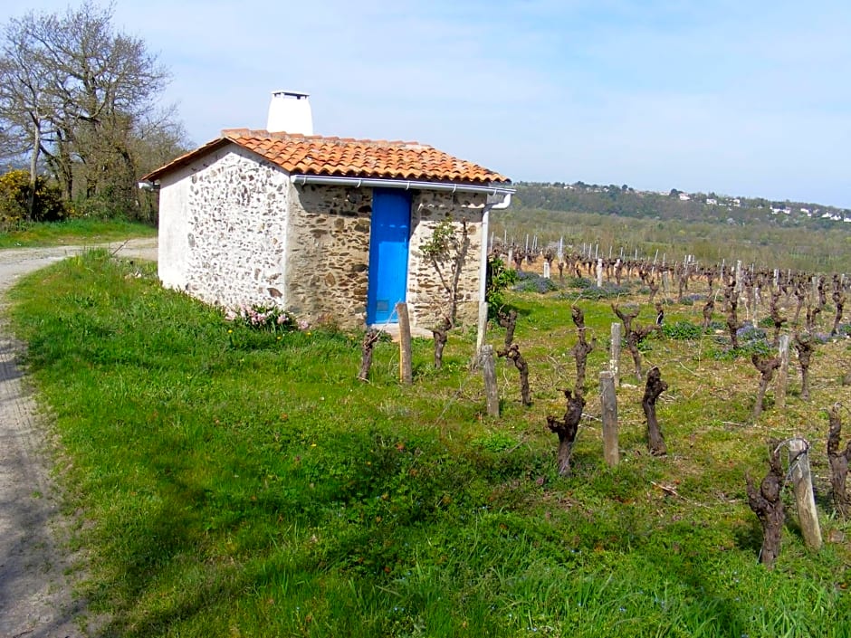 Chambres d'Hôtes Vignes et Loire