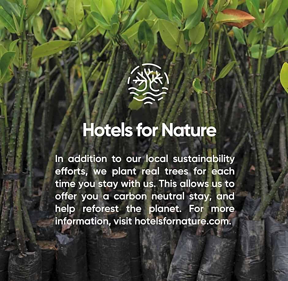 First Hotel Millennium