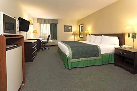 King Studio Suite - Non-Smoking