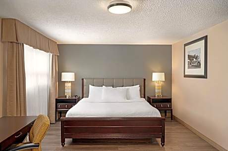 Deluxe King Suite - Non-Smoking