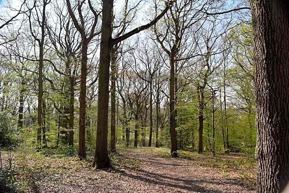 Oakside Lodge Guest House