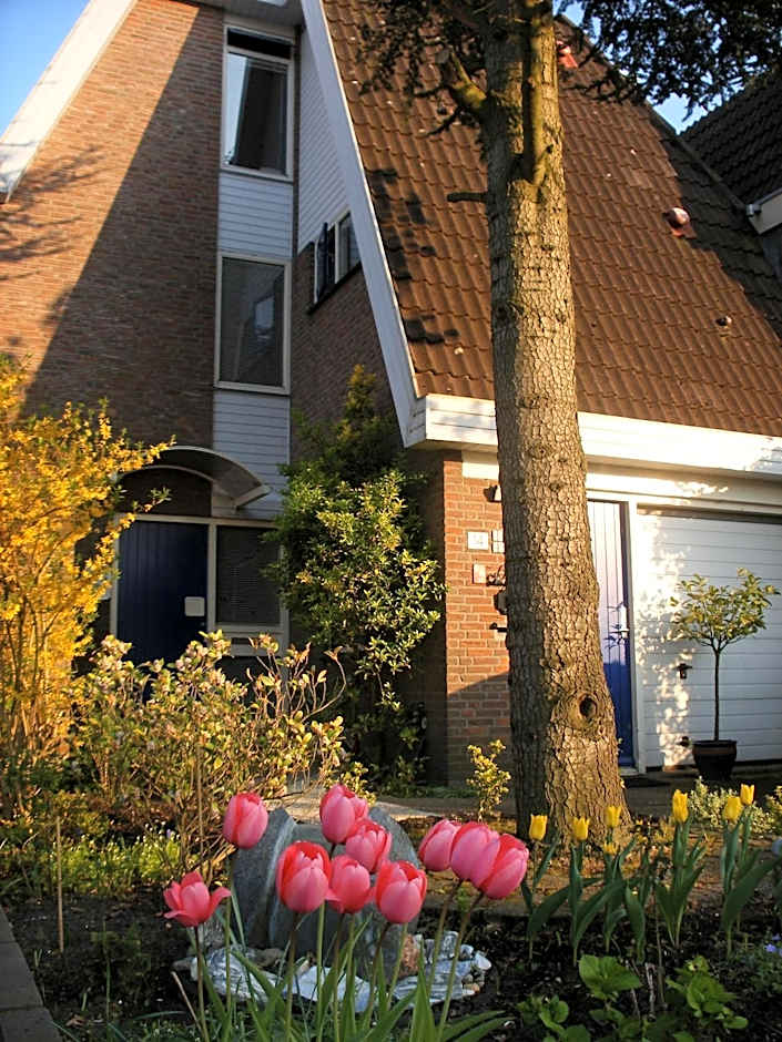 B&B-Edam