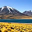 Our Habitas Atacama