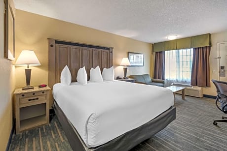 Accessible - 1 King Mobility Accessible Roll In Shower Non-Smoking Full Breakfast