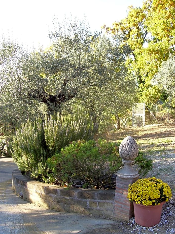 La Tana delle Stelle B&B di Charme e Relax