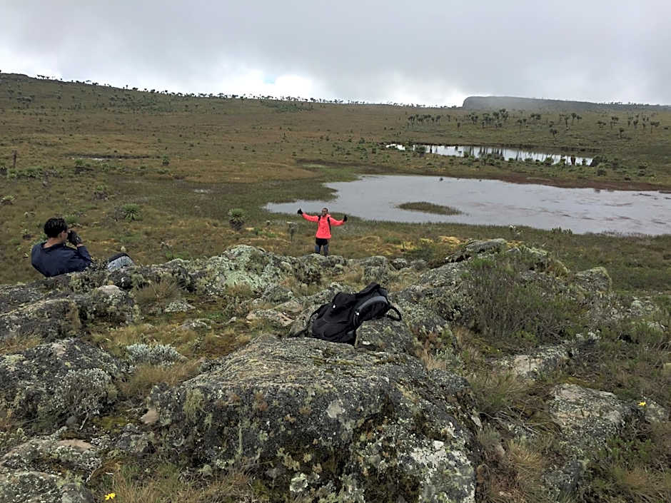 Bubbles Lodge Kinangop