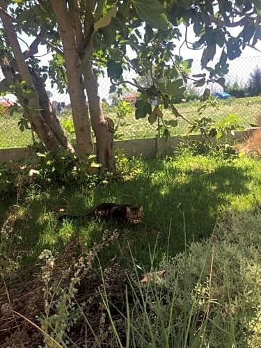 B&B I Guardiani dell'Orto