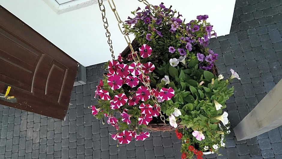 Niezapominajka Kopalino