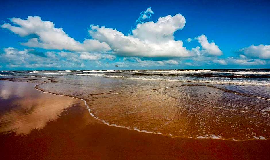 The Dawn on Galveston Beach