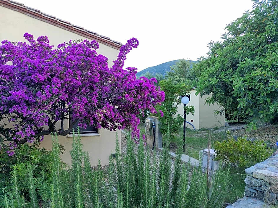 Sa Teria Village - Camere Deluxe -