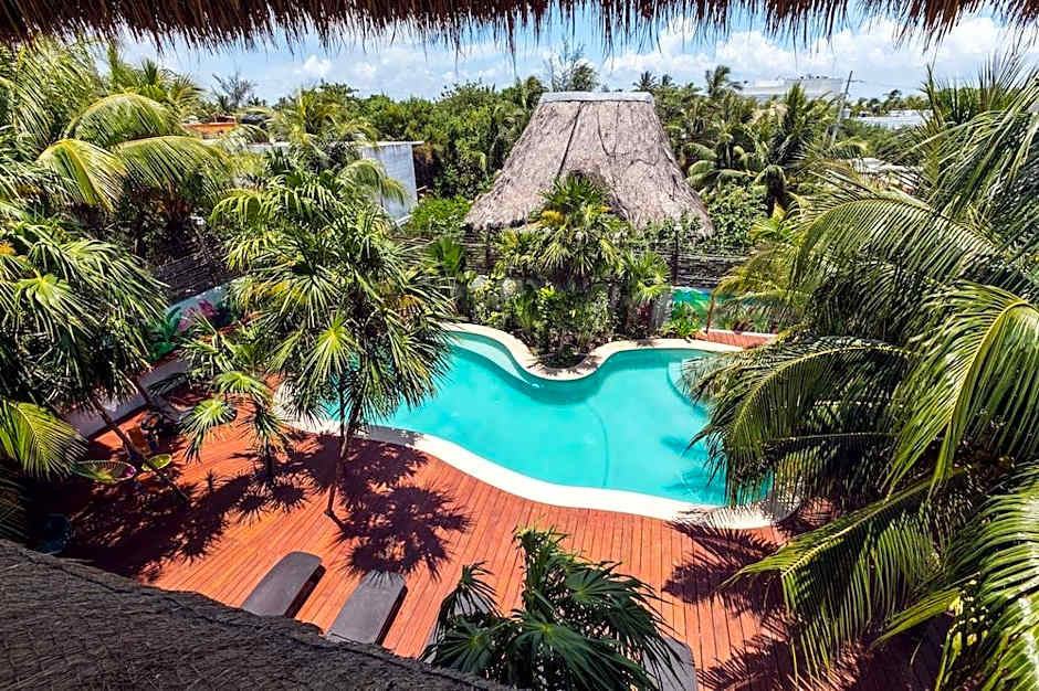 Tropical Suites by Mij