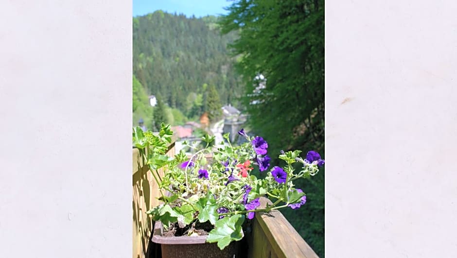 Waldblick Landhaus B&B