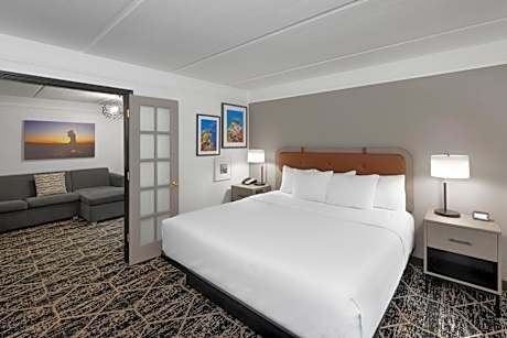 One-Bedroom King Suite - Non-Smoking