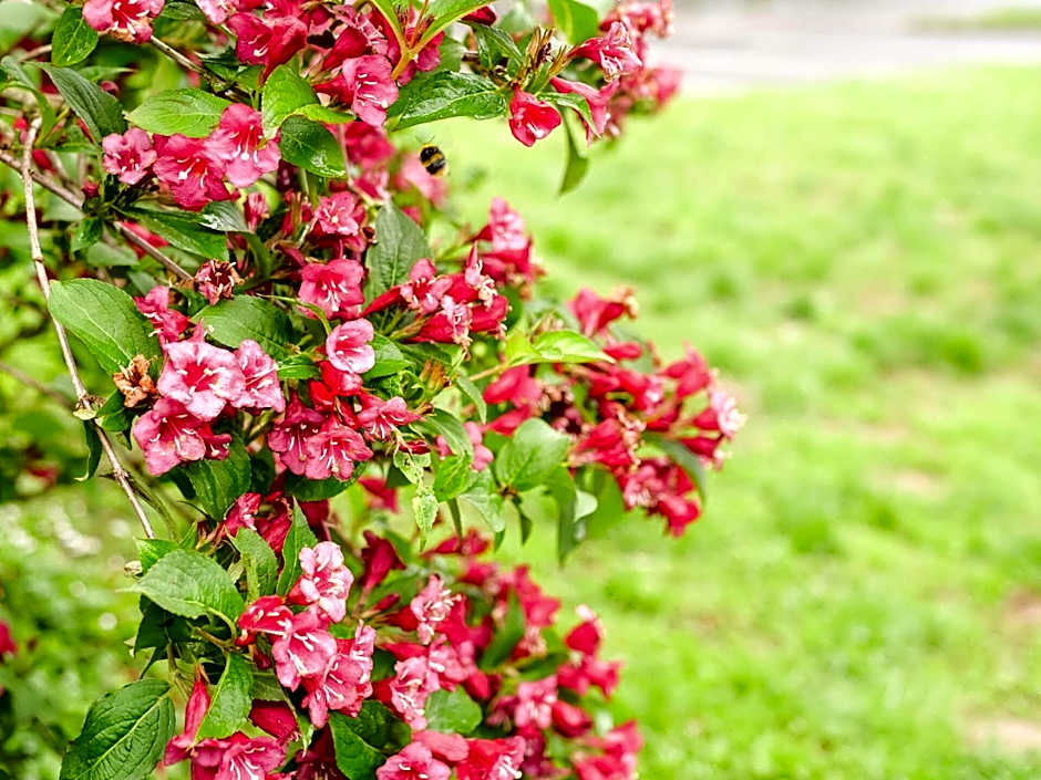 Premiere Classe Rennes Sud - Chantepie