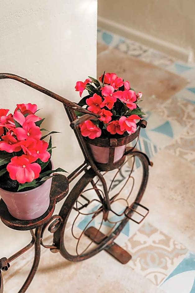 Hotel Boutique Casa Sanchez