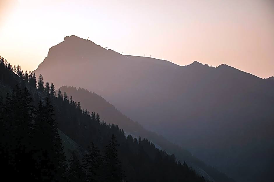 BOUTIQUEHOTEL das edelweiss