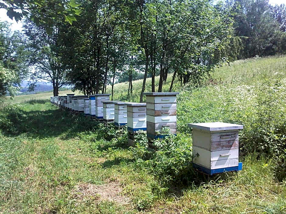 Dom Gościnny pod Zamkiem Wleń