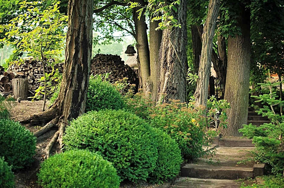 ForRest Hotel & Restaurant