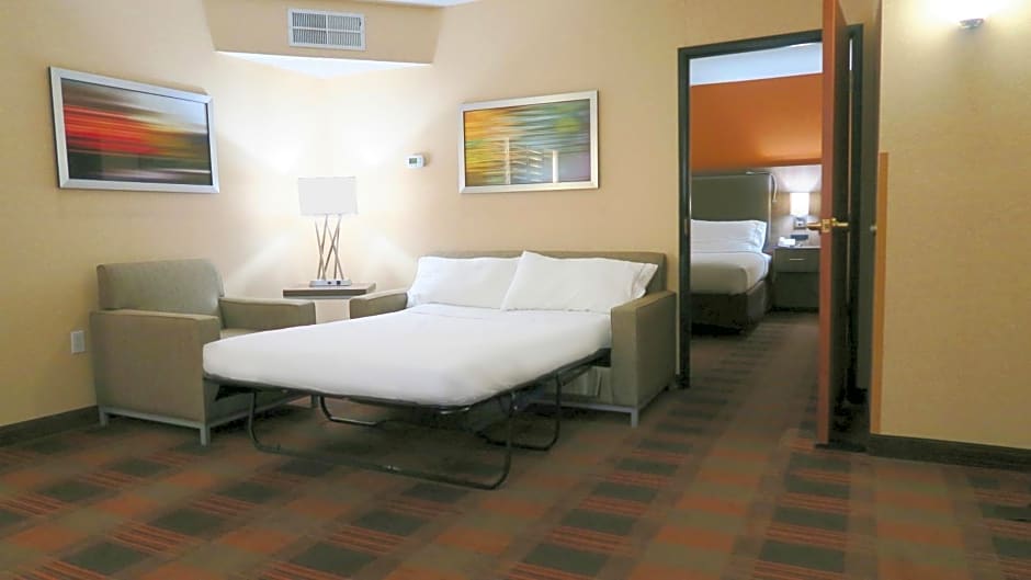 Holiday Inn Express Hotel & Suites Elk Grove Ctrl - Sacramento S By IHG