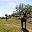 Bed and Breakfast Casanova de Sant Miquel