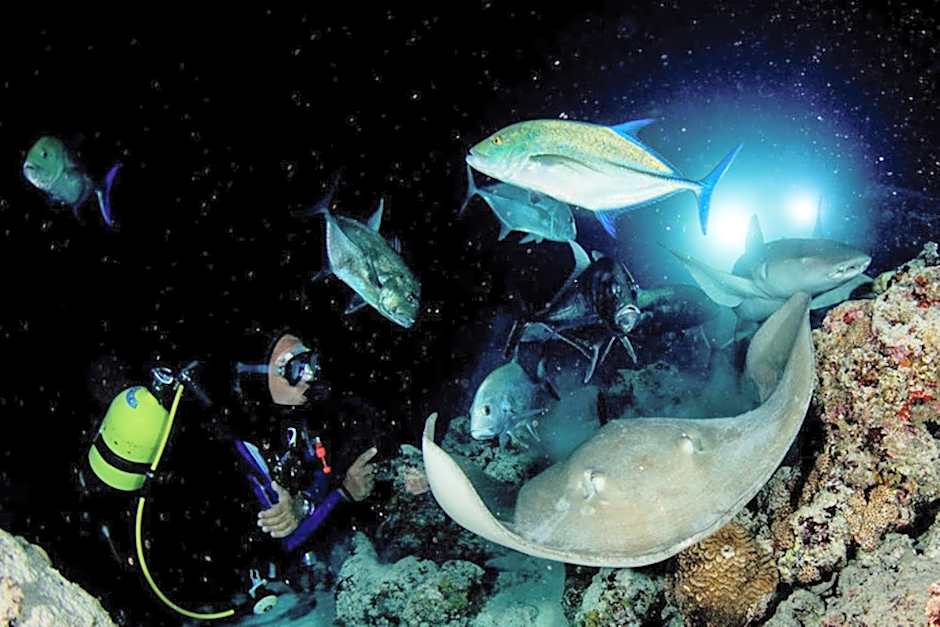 Hotel and Dive Center Roatan Yacht Club