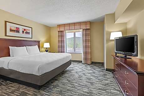 1 King Bed, Suite, Nonsmoking