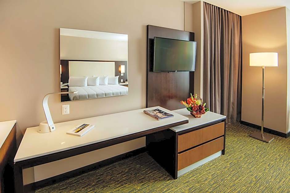 Hilton Garden Inn Puebla Angelopolis