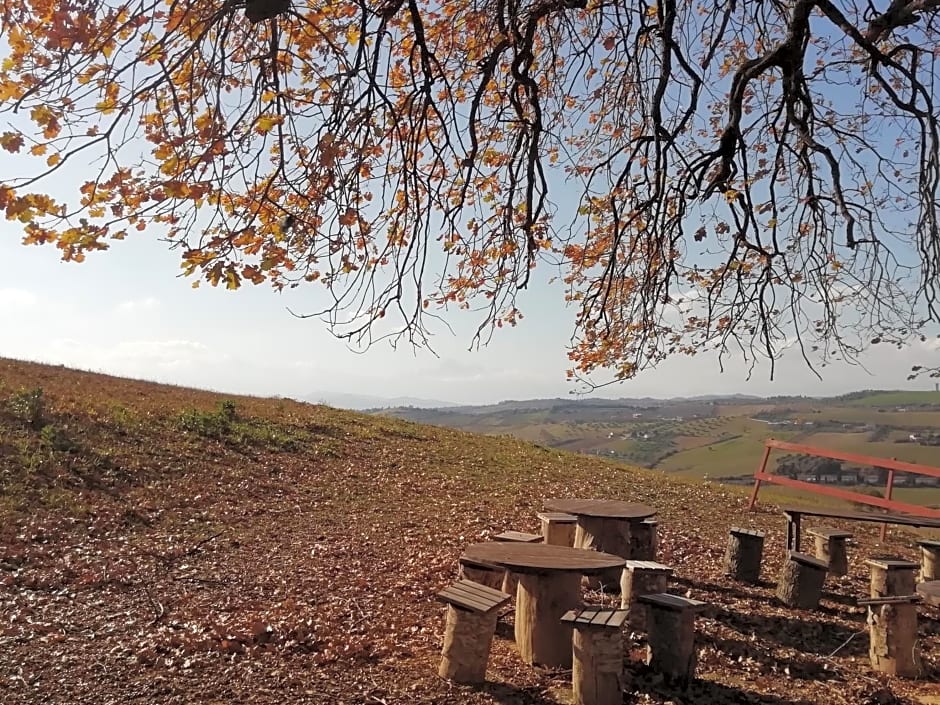 B&B Gli amici del tubarello