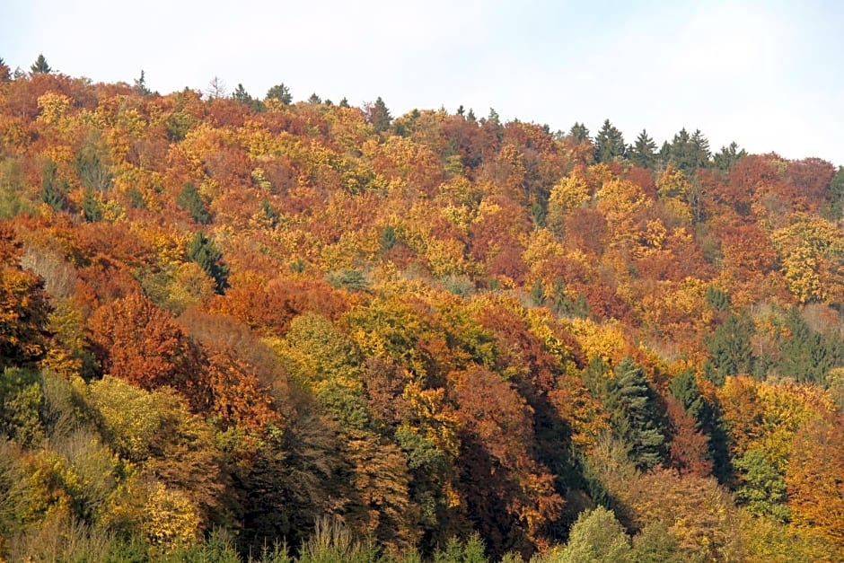 B&B Arlesbrunnen