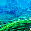 Villa Tea Fields