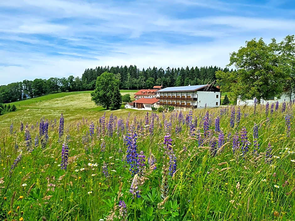 Osserhotel - B&B am Osser