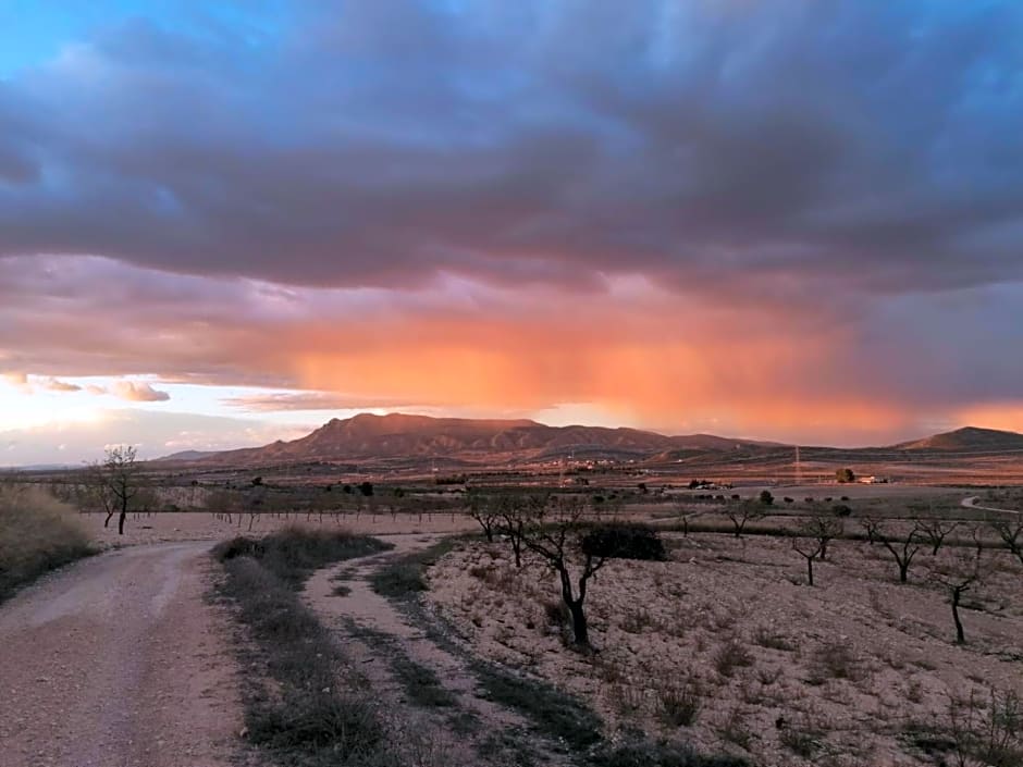 Finca Guillermo Murcia
