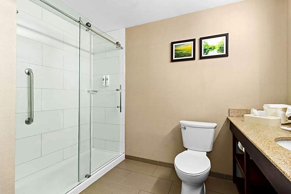 Comfort Suites Lumberton North