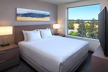 King Studio Suite with Kitchen and Sofa Bed