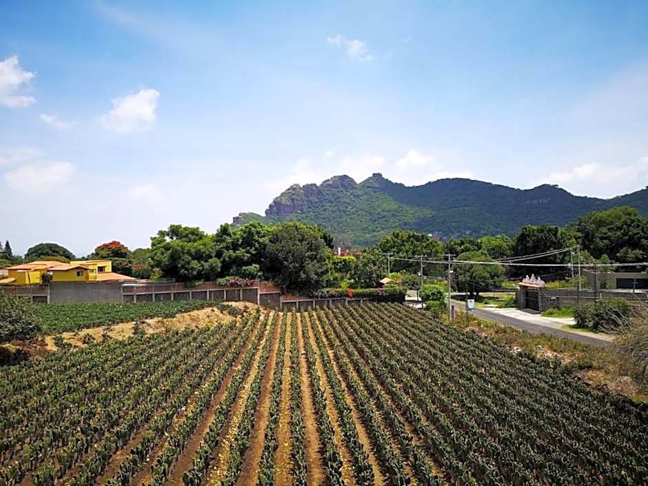 La Casa del Volcan