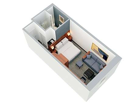 King Room with Exercise Equipment and Sofa Bed
