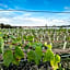Pinkmead Estate and Vineyard