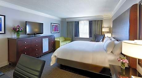 King Room with Spa Bath