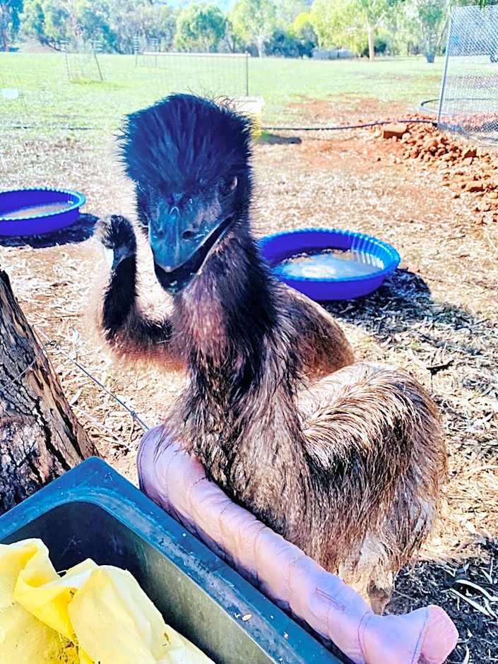 Sandalwood Downs Fabulous Farm Stay TOODYAY