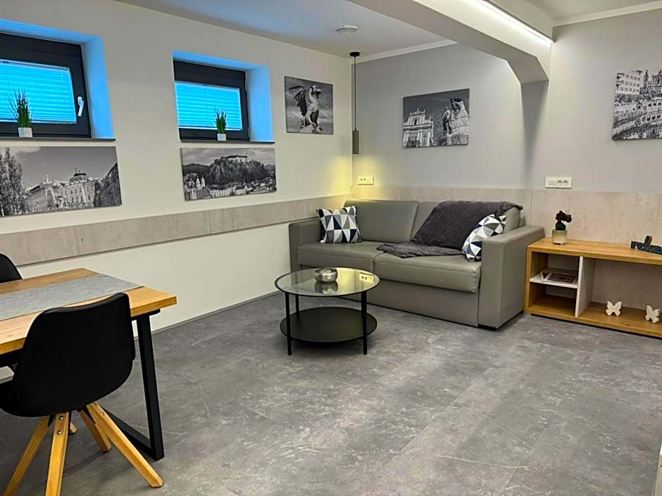 Vila Emona - Central Apartments - Free Parking