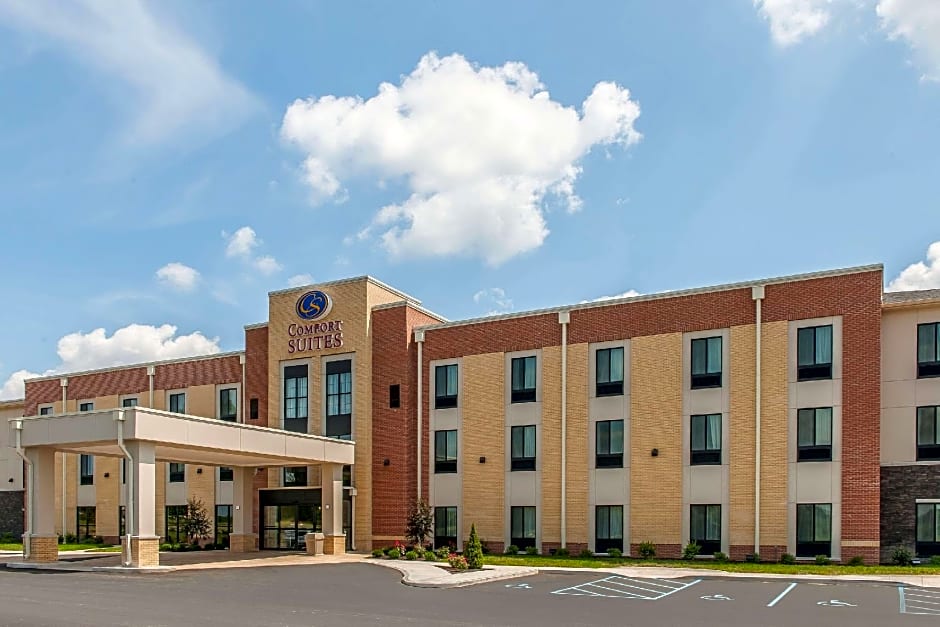 Comfort Suites Rensselaer near Fair Oaks