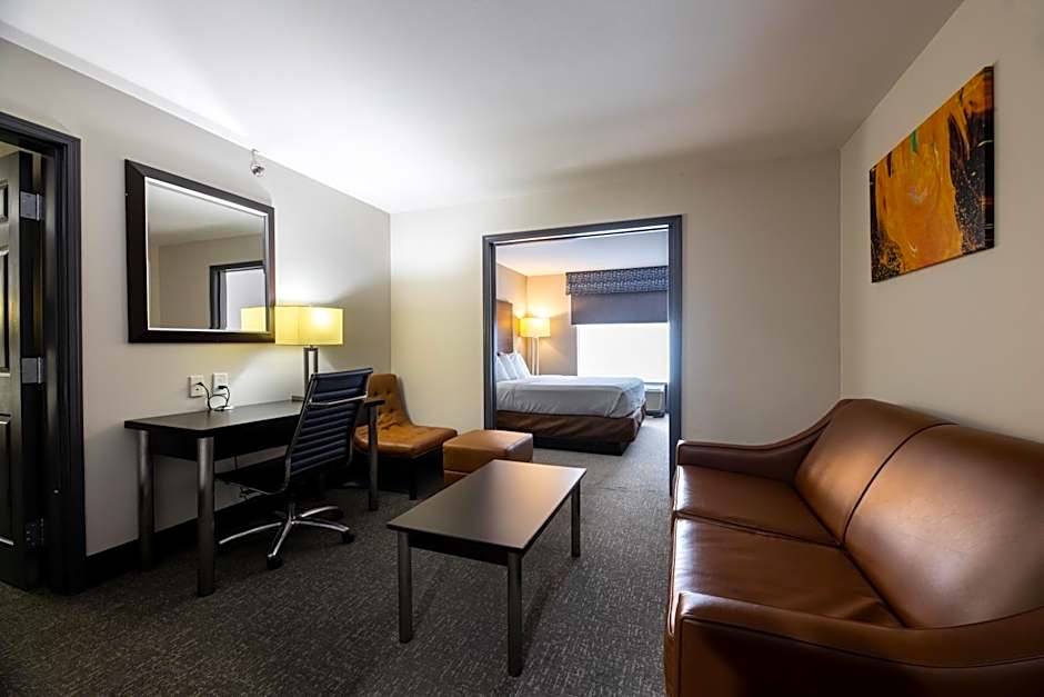 Wingate By Wyndham Atlanta Galleria Center