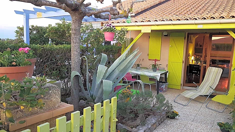 BAMBOU NATURE