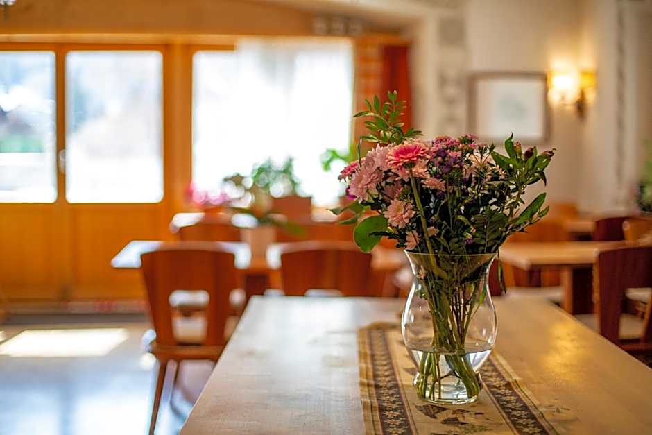 Hotel Alpina