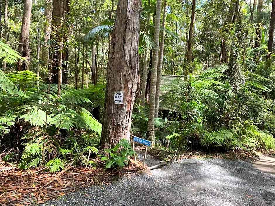 Springbrook Mountain Chalets