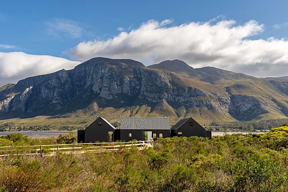 Coot Club