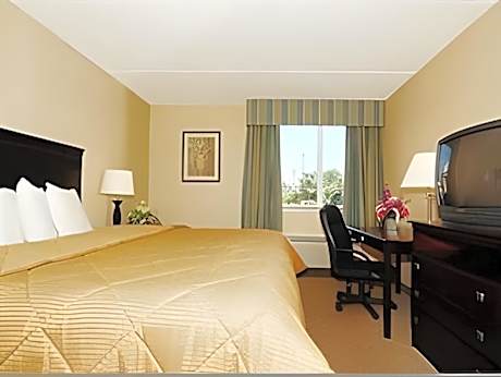 Non-Smoking Single Queen Room