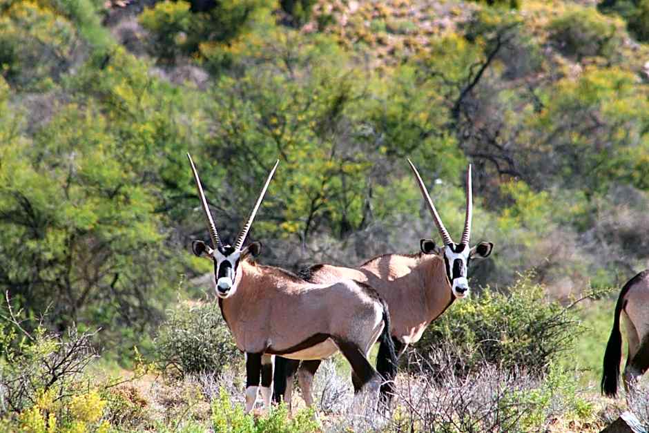 Bosch Luys Kloof Nature Reserve
