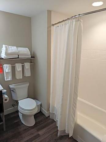 One-Bedroom Queen Suite with Sofa Bed